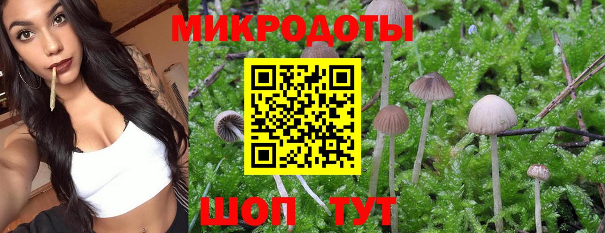 Псилоцибиновые грибы MAGIC MUSHROOMS  как найти   Отрадное  Вход с VPN 