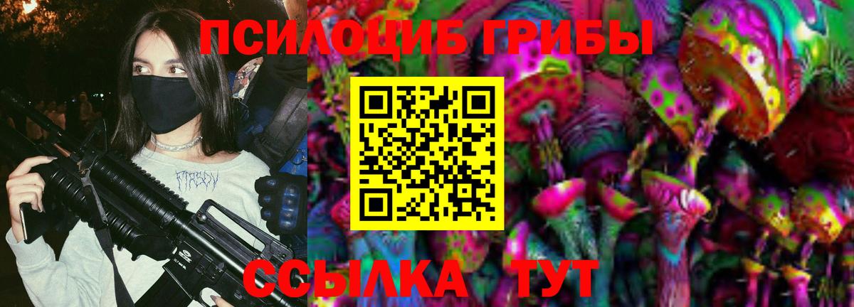 Псилоцибиновые грибы GOLDEN TEACHER Отрадное