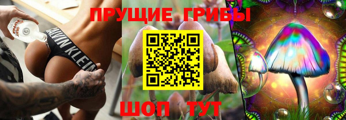 Галлюциногенные грибы Magic Shrooms  Отрадное  купить  цена  Галлюциногенные грибы Cubensis 