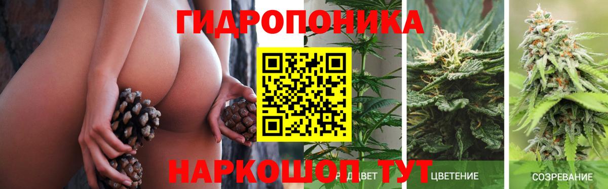 Каннабис ГИДРОПОН  Марихуана марихуана  Бошки Шишки ГИДРОПОН  Отрадное 